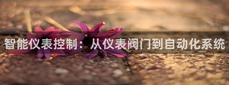 九游会最新下载安装