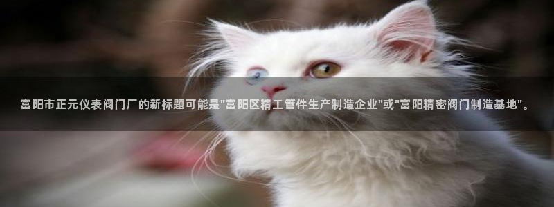 九游会体育赛事