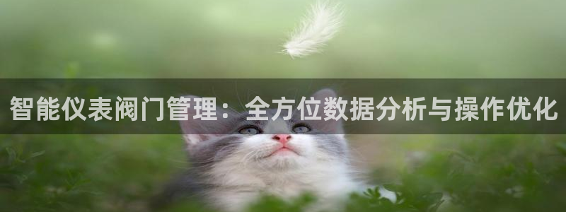 九游会ag入口