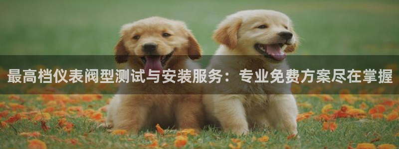 九游会usdt