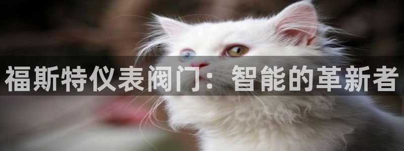 九游会官方平台