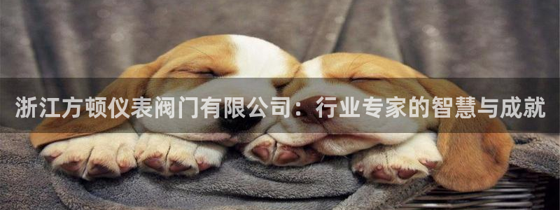 九游会国际集团