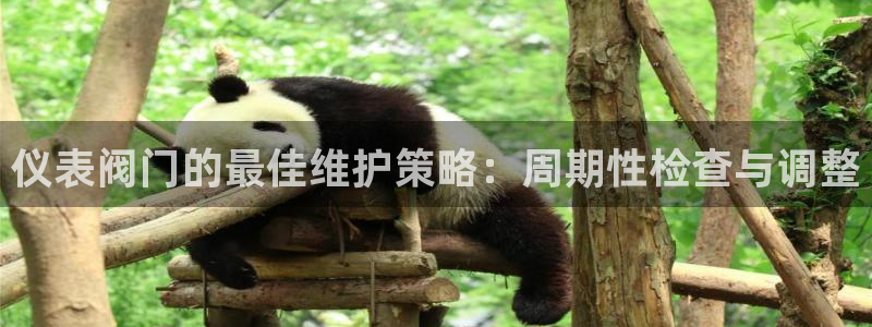 九游会j9提现快吗