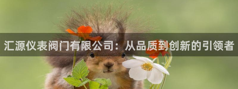 家乡的九曲黄河灯游会