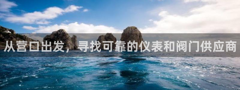 九游会网页游戏